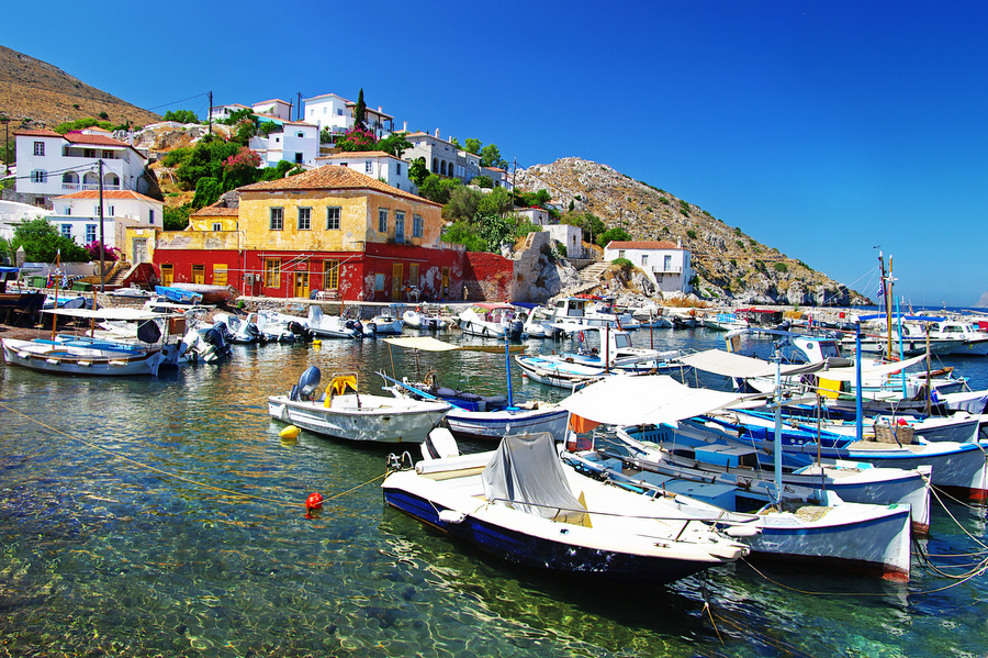 Hydra